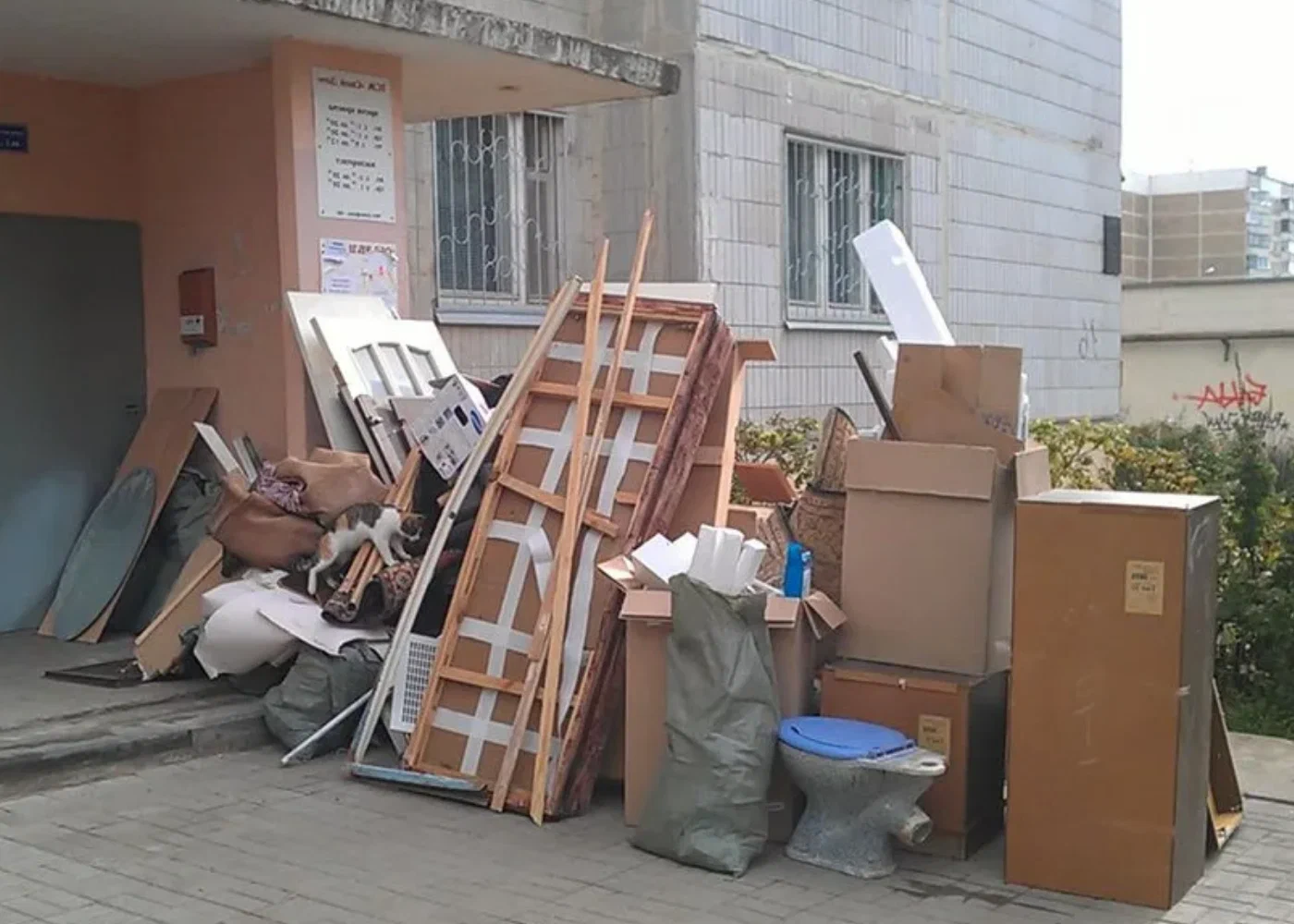 Профессиональный вывоз мусора из квартиры в Верхнем Уфалее в октябре