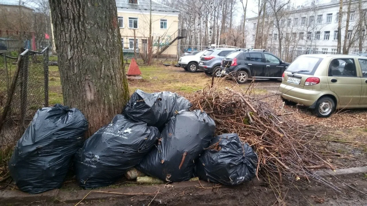 Вывоз мусора после субботника в Верхнем Уфалее от ПроМусор – уборка и утилизация отходов от 2405 руб