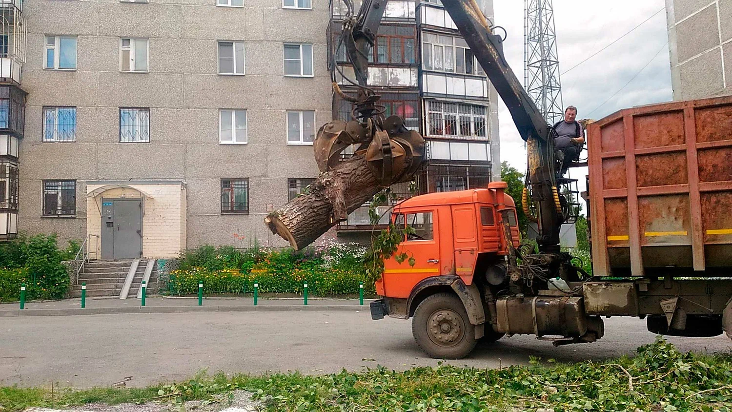 Вывоз спиленных веток и деревьев в Верхнем Уфалее от ПроМусор: порубочные остатки, утилизация, цена от 2968 руб