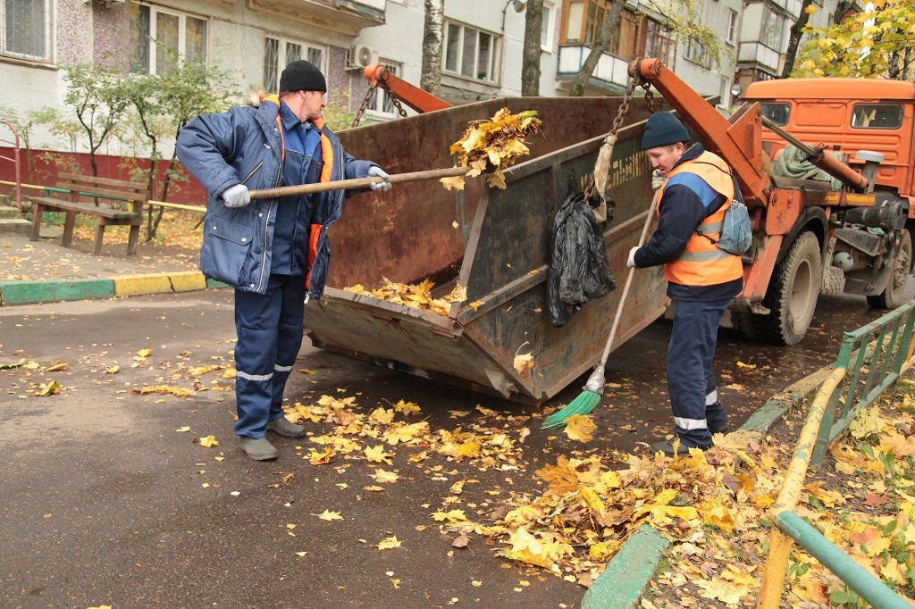 Вывоз опавшей листвы и растительного мусора в Верхнем Уфалее от ПроМусор – цена от 4605 руб., быстрая уборка и утилизация